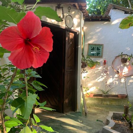 Conjunto Sol Roots Villa Praia de Pipa Eksteriør bilde